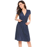 Dot A-Line Pleated Dress