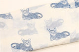 Cat Print Scarf