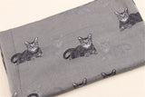 Cat Print Scarf