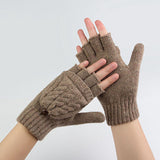 Winter Mitten