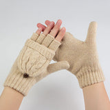 Winter Mitten