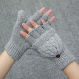 Winter Mitten